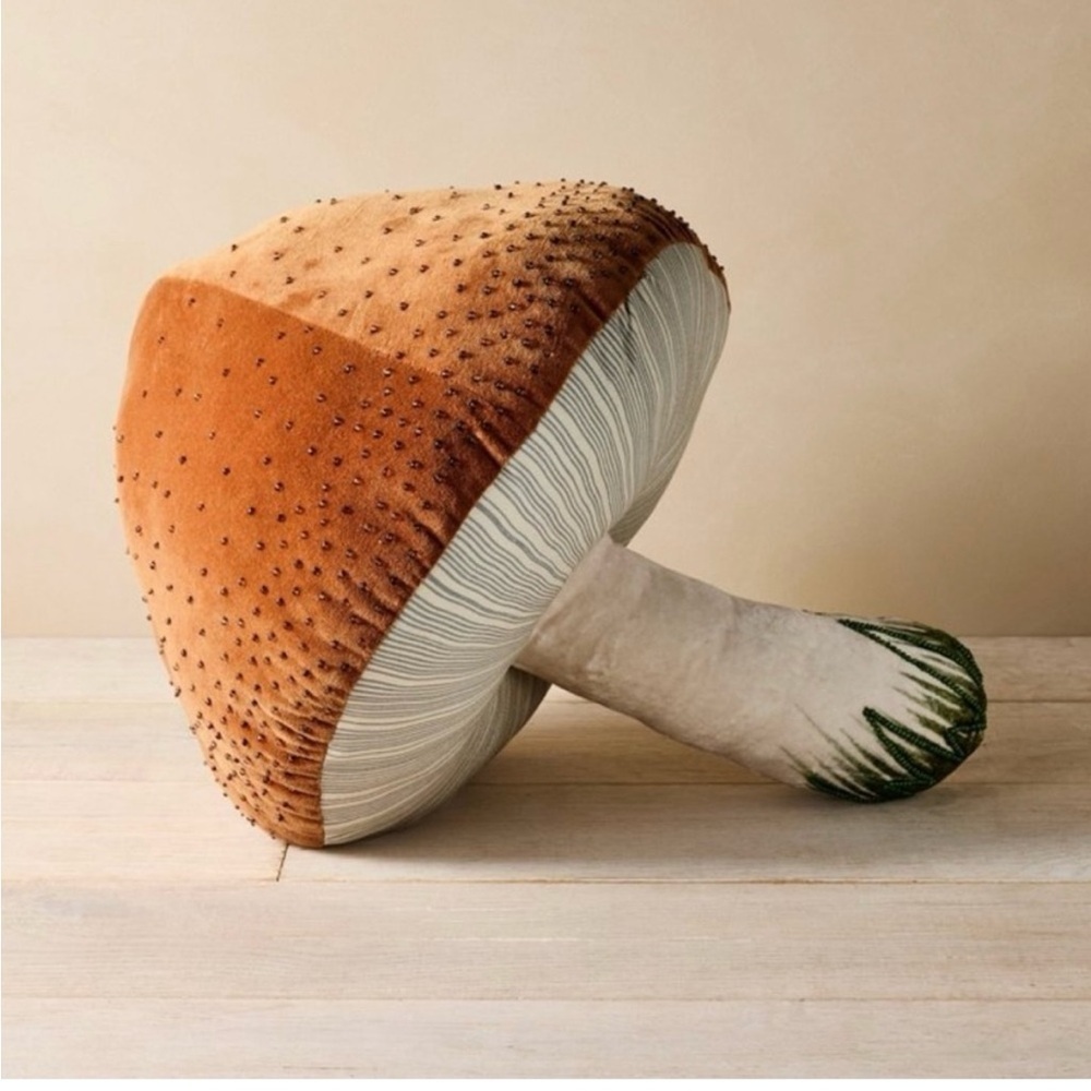 John Derian Mushroom Pillow NEW